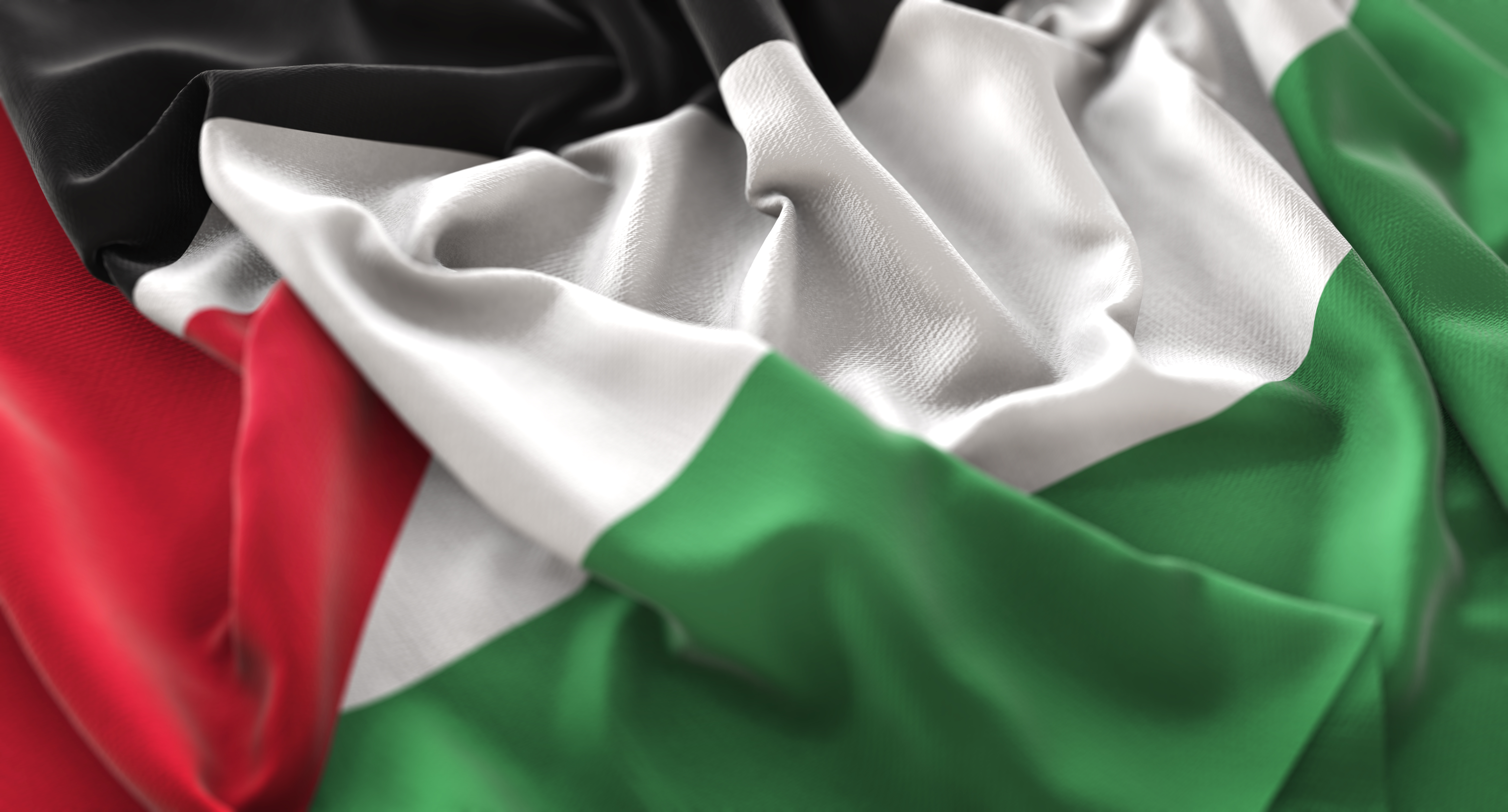 Palestinian Flag